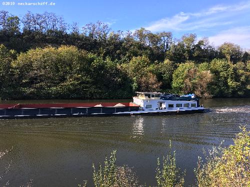 📌 → MS Mondial
🔍 → klicken
💾 → rechte Maus → Link in neuem Tab öffnen... Bild: Das Achterschiff der GMS Mondial