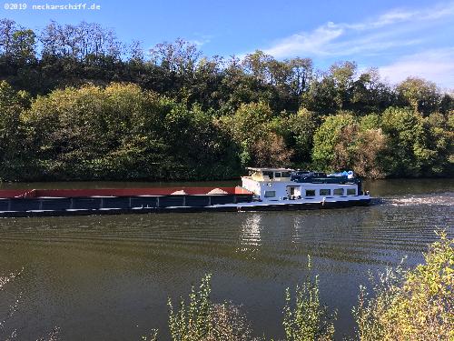 Bild: Das Achterschiff der GMS Mondial