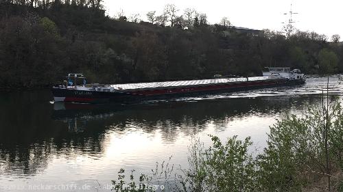 Bild: Die niederländische GMS Allegro auf dem Neckar in  Gemmrigheim bei Abendstimmung im April 2019.