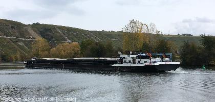 Bild: MS Saale zu Füßen der Hessigheimer Weinberge, unterwegs nach Stuttgart.