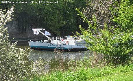 Bild: Blick durch die Büsche des Campingplatzes in Neckarzimmern.