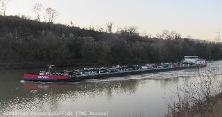 Bild: Die knapp 100 Meter lange TMS Ascona beladen auf dem Neckar Richtung Stuttgart. 