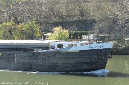 Bild: GMS Specters schnittiger Bug aus dem Jahre 1966.