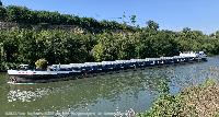 Bild: Mit einer Tonnage von 2851 Tonnen gehört MS Morgenstern zu den großen im Neckar.