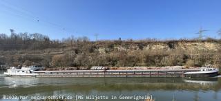 Bild: MS Wiljette bei schönstem Wetter Anfang März 2022 auf dem Neckar.
